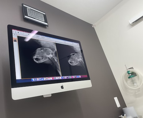 短頭種気道症候群についてご相談承ります 動物呼吸器科認定看護師が短頭種気道症候群についてご説明します イメージ2