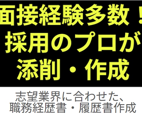 履歴書・職務経歴書の作成を代行します 人事歴4年の知見から、“見られるポイント”をお伝えします イメージ1