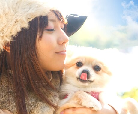 Webサイト向け画像【5枚】修正いたします 色合い調整や補正、写り込みを消したいなどご相談ください。 イメージ2