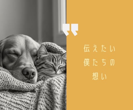 ペットからあなたへ…心のメッセージ伝えます |涙の先にある温もり　あの子が伝えたかったこと イメージ2