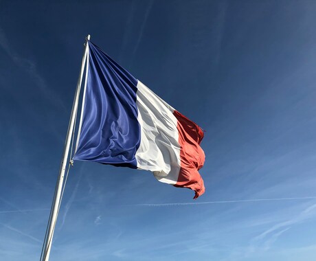 フランス語の学習サポートをします 大学のフランス語の授業に苦戦している方へ イメージ1