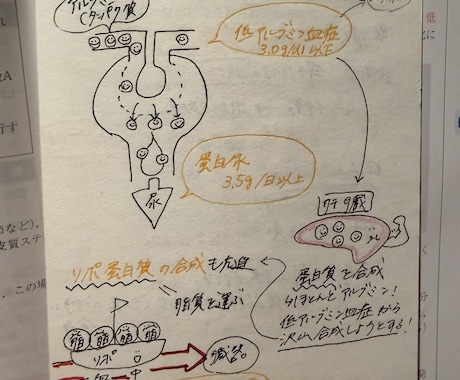 現役看護師が看護過程・アセスメントをサポートします 看護学生の睡眠時間を確保するのを応援します！脱オール！ イメージ2