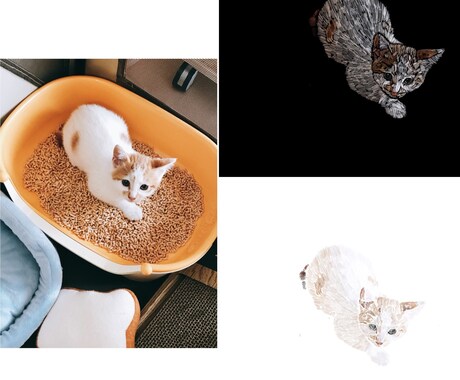 大事な猫ちゃんのお写真をイラストにします お気に入りのお写真を一枚の絵に残しませんか？ イメージ2