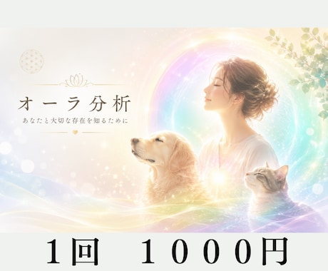 Healyによるオーラ分析をします チャクラとオーラから今を読み解きます イメージ1
