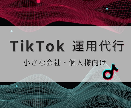 法人・個人 TikTokの台本〜動画制作いたします TikTokの台本〜動画制作いたします！ イメージ1