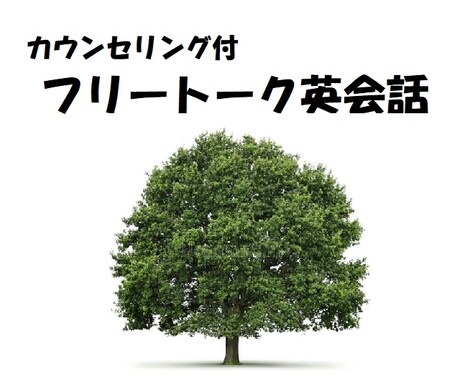 英会話「英語が出てこない」を解決します 初心者から字幕なしで映画が見たい方まで幅広く対応可能 イメージ1