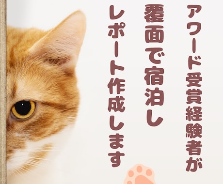 アワード受賞経験者が覆面宿泊！改善点レポートします 宿の魅力を最大化しませんか？クチコミ点数UPしたい方へ イメージ2
