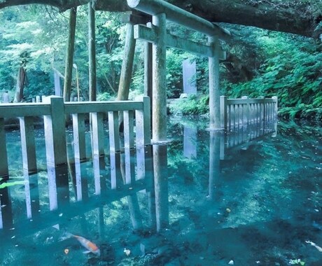 霊視鑑定をします 【霊視】見たままをお伝えします【鑑定】 イメージ1