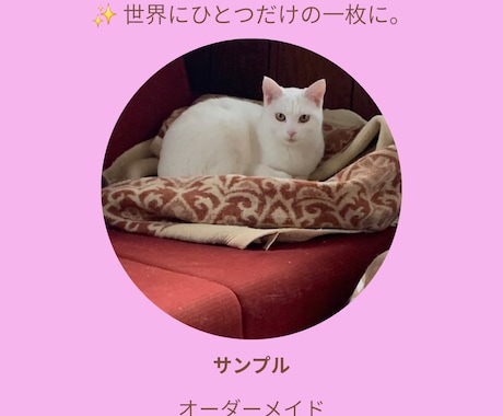 愛犬・愛猫のストーリーカードを制作します イメージ1