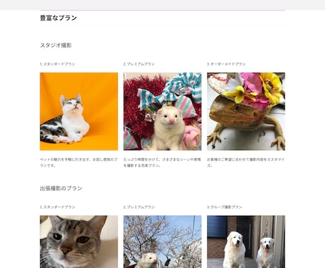 WPサイト制作⭐︎高機能なHPを構築 します Lightning×FlashでHP制作！ イメージ1