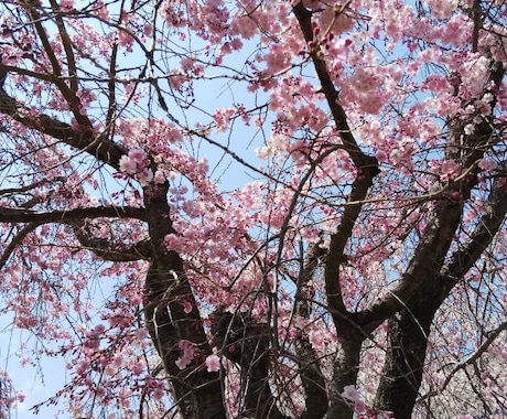 風景写真提供します 出掛けた先で撮影した写真を提供します。 イメージ1