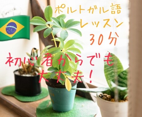 初心者okオンラインでポルトガル語の会話をします ネイティブと、ブラジルポルトガル語で楽しく会話しませんか？ イメージ1