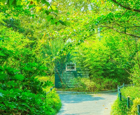 ただ話したい人へ❀優しくそっと寄り添います 1分でも✨否定せず、あなたの気が晴れるまでお聞きします❀ イメージ1