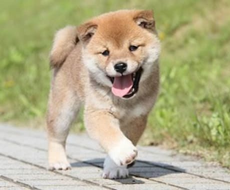 相手の考えが読めない！人間関係の悩み解消します 相手の考えを読み取り、性格に合わせたアプローチを提案します！ イメージ1