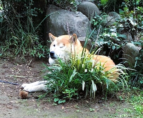 シンママの為のキャリアや不安に寄り添います リスタートした同じシンママの力になりたいと思っています！ イメージ2