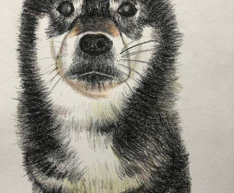 動物の似顔絵とイラストを描きます 色鉛筆とアーティストペン、どちらでも描けます！ イメージ1