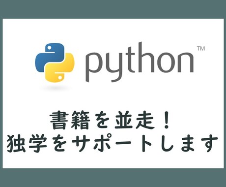 書籍を並走！！Pythonの独学をサポートします Python関連の書籍の質問に対応します イメージ1