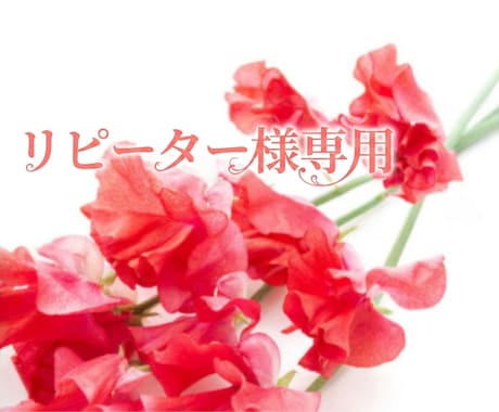 碧のリピーター様専用ページとなります ✦✦恋愛専門✦✦恋愛に関するすべてのお悩みに寄り添います イメージ1
