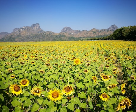 タイ旅行をサポートします 観光ガイド本などに載っていない思い出に残る旅をご紹介 イメージ2