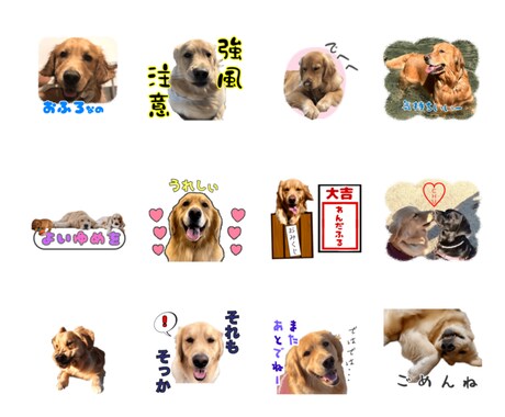 お子様やペットのお写真でLINEスタンプを作ります 思い出の写真を送るだけで世界に一つだけのLINEスタンプに イメージ1