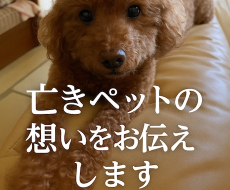 亡きペットの想いをお伝えします 心を込めたスピリチュアル鑑定！ イメージ1