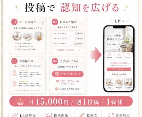 SNSからLPへ誘導するライト運用代行します SNS1媒体 週1投稿でLPへ誘導 月額15,000円 イメージ2