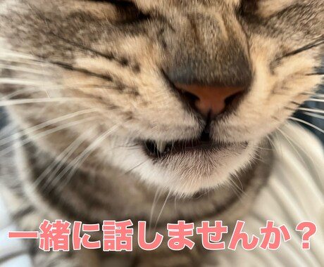 ゆっくりお話聞きます 少しだけ休みませんか？頑張って話さなくても大丈夫！ イメージ2