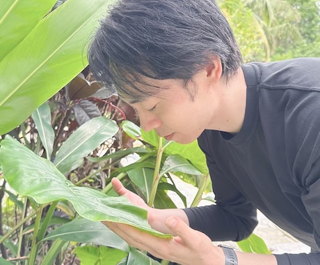 誰かとなんとなく話がしたい、ヒーラーがお話聴きます 癒されたいな、疲れたな、ただ話したいな、聞いてほしいな イメージ1