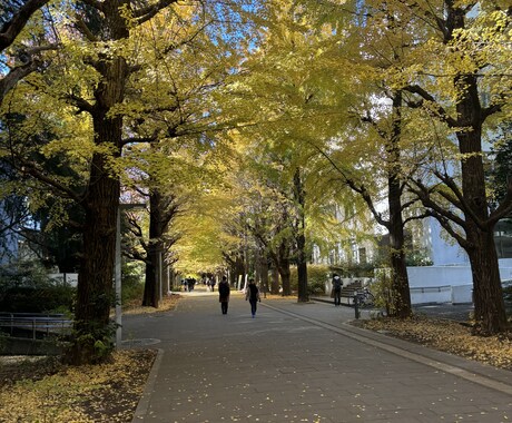 現役東大生が東大受験に関する相談に乗ります 最初の5名様限定で1500円で承ります。 イメージ1