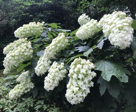 恋愛のお悩み占います より良い未来と関係のためにカードからあなたへのメッセージ♡ イメージ1