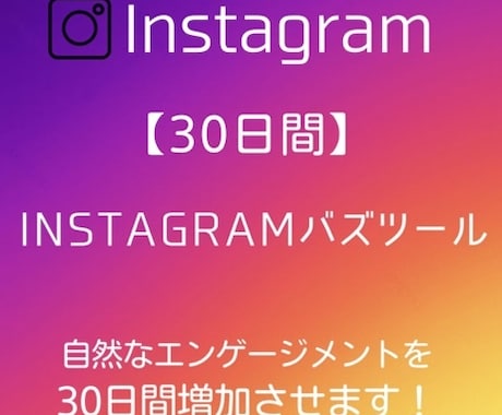 Instagramを強制的にバズらせます 自然なエンゲージメントでバズらせます【30日間】 イメージ1