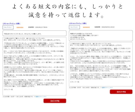 面倒な楽天レビュー返信を楽天のプロが迅速代行します 『年中無休』『平均12時間』で返信し、店舗の価値を上げます♪ イメージ2