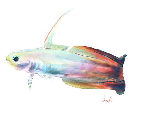 綺麗でリアルよりな魚の絵を描きます いい感じの魚の絵を気軽に頼んでみたい方へ イメージ2