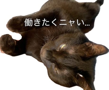 行きたくニャいお仕事の悩みを一緒に整理します みにゃさまいつもお疲れ様 ふらっと休める猫カフェへようこそ イメージ1