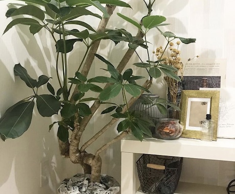 一人暮らしのお部屋インテリアコーディネートします 収納アドバイスもご提案します！ イメージ1