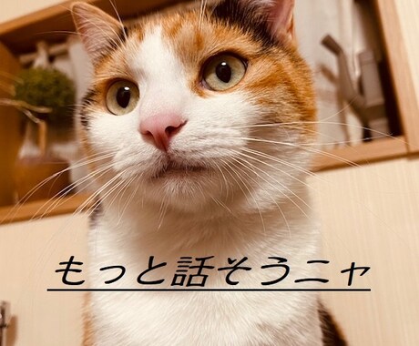 1日じっくりお話し聴きます 一人で抱えないで、その荷物を半分分けて下さい。 イメージ1