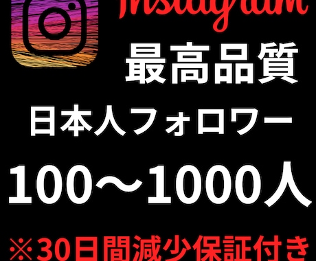 インスタの日本人フォロワー+100人増やします インスタの日本人フォロワー+100人増やします イメージ1