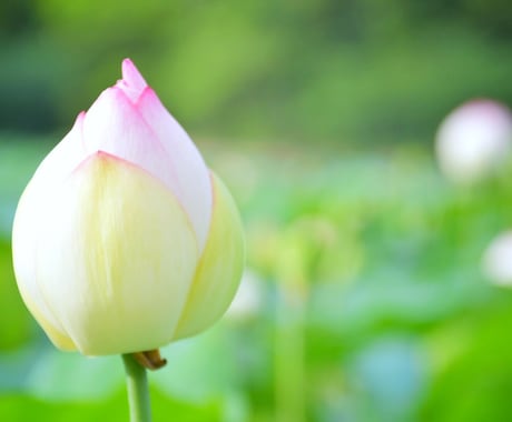 写真売ります 自分の撮った写真を提供します！！ イメージ1
