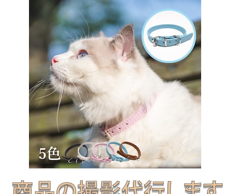 カメラマンによる商品画像の撮影代行を行います イメージ1