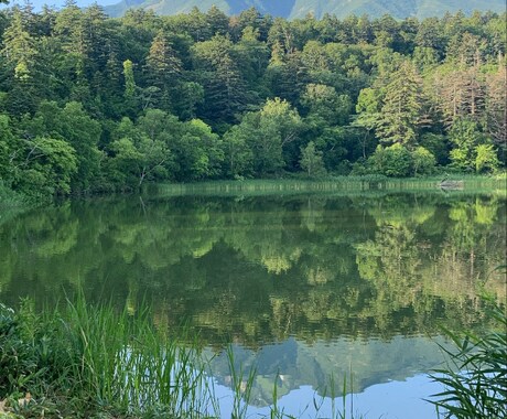 北海道女子一人旅のプランニングします 〜離島含め道内一周1人旅経験者からオススメ教えます〜 イメージ2