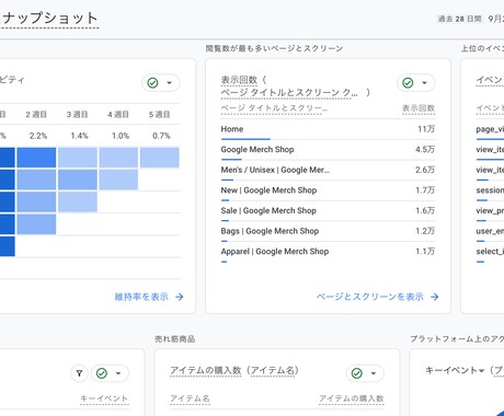 アクセス解析・ヒートマップ解析を格安で行います Google AnalyticsやClarityでサイト解析 イメージ2