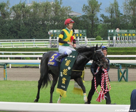 日曜日の中央競馬メインレースを予想します 注目馬を5～7頭にしぼります。 イメージ1