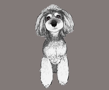 ミニチュアシュナウザーの似顔絵を描きます ミニシュナと暮らす犬絵師が、写真から似顔絵を描きます イメージ2