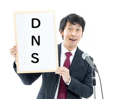 DNSサーバーをレンタルします あなた専用のDNSサーバー。セカンダリのみも対応。 イメージ1