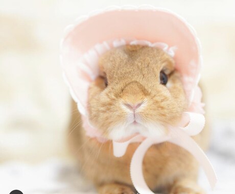 あなたの心に寄り添います あなたのお悩みが解決するまでお力添えさせてください！ イメージ1