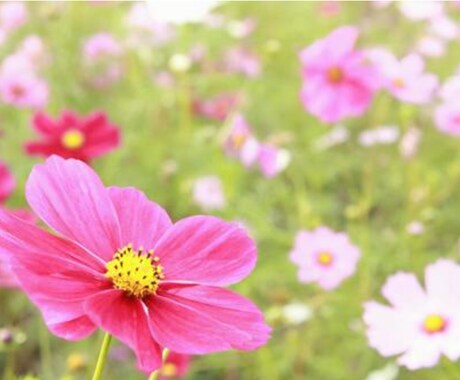 どんな愚痴でも聞きます 誰かに話を聞いてもらうと楽になることがありますよね イメージ1