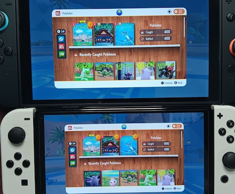 Switchのポケモン厳選代行します Switchのポケモン厳選代行《個体値·特性·色等》します！ イメージ2