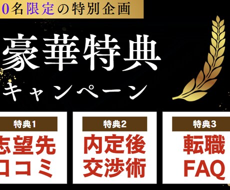 会話で簡単！　２日で職務経歴書・履歴書を作成します 数多くの業界や内定を複数得たノウハウを駆使し、強みを言語化！ イメージ2