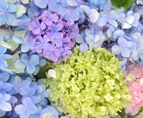 日頃の愚痴聞きます 辛い気持ち、旦那への不満、子育て、嫁姑問題誰かに話したい方 イメージ2
