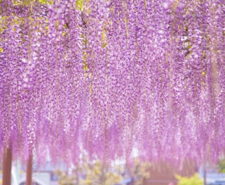 あなたの心、助けます 自分の心を整理したいと思っているあなたへ イメージ2